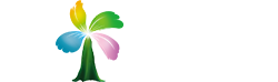 厦门楚枫奕网络科技有限公司